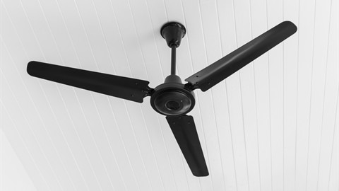 Ceiling fan showing blade span and airflow coverage