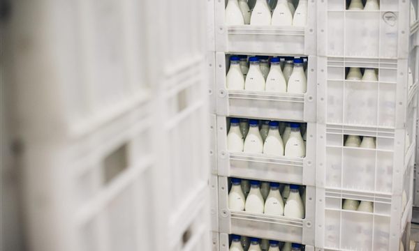 Cold Room Storage Applications for Food, Medicine, Flowers, and Beverages