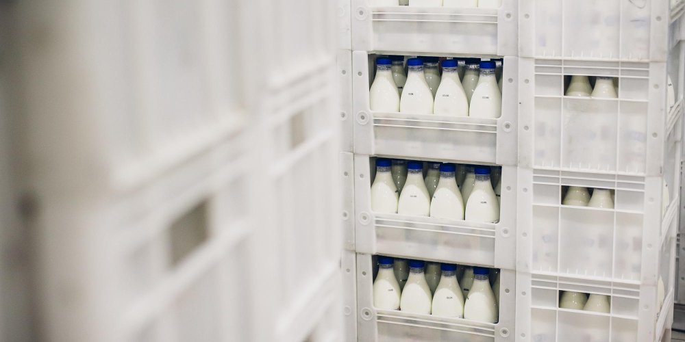 Cold room storage shelves for dairy and temperature-sensitive goods