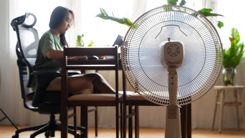 Stand fan used to explain DC motor fan control