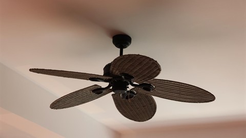 Decorative fan with textured blades for interior selection